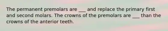 The permanent premolars are ___ and replace the primary first and second molars. The crowns of the premolars are ___ than the crowns of the anterior teeth.