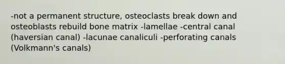 -not a permanent structure, osteoclasts break down and osteoblasts rebuild bone matrix -lamellae -central canal (haversian canal) -lacunae canaliculi -perforating canals (Volkmann's canals)