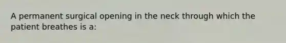 A permanent surgical opening in the neck through which the patient breathes is​ a: