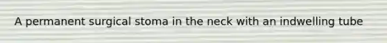 A permanent surgical stoma in the neck with an indwelling tube