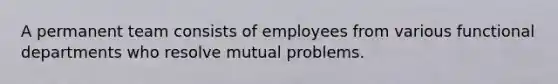 A permanent team consists of employees from various functional departments who resolve mutual problems.