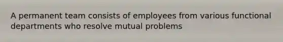 A permanent team consists of employees from various functional departments who resolve mutual problems