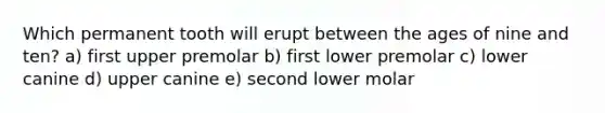 Which permanent tooth will erupt between the ages of nine and ten? a) first upper premolar b) first lower premolar c) lower canine d) upper canine e) second lower molar