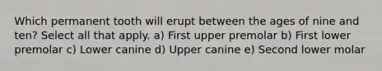 Which permanent tooth will erupt between the ages of nine and ten? Select all that apply. a) First upper premolar b) First lower premolar c) Lower canine d) Upper canine e) Second lower molar