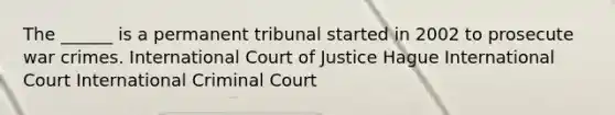 The ______ is a permanent tribunal started in 2002 to prosecute war crimes. International Court of Justice Hague International Court International Criminal Court