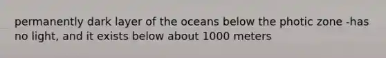 permanently dark layer of the oceans below the photic zone -has no light, and it exists below about 1000 meters