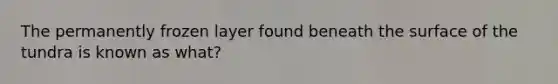 The permanently frozen layer found beneath the surface of the tundra is known as what?