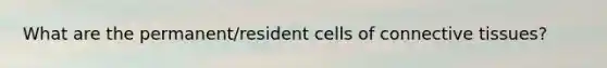 What are the permanent/resident cells of connective tissues?