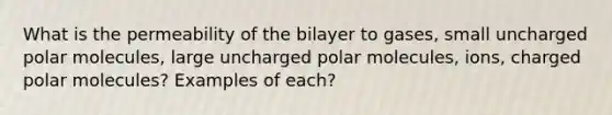 What is the permeability of the bilayer to gases, small uncharged polar molecules, large uncharged polar molecules, ions, charged polar molecules? Examples of each?