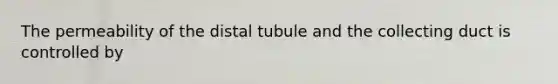 The permeability of the distal tubule and the collecting duct is controlled by