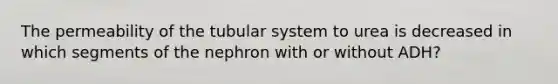 The permeability of the tubular system to urea is decreased in which segments of the nephron with or without ADH?