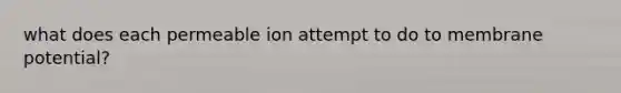 what does each permeable ion attempt to do to membrane potential?