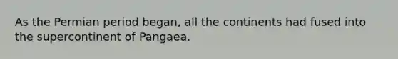 As the Permian period began, all the continents had fused into the supercontinent of Pangaea.