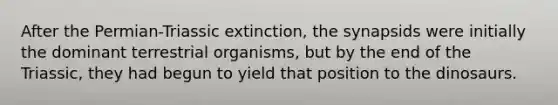 After the Permian-Triassic extinction, the synapsids were initially the dominant terrestrial organisms, but by the end of the Triassic, they had begun to yield that position to the dinosaurs.