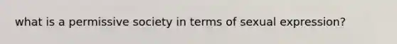 what is a permissive society in terms of sexual expression?