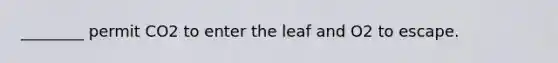 ________ permit CO2 to enter the leaf and O2 to escape.