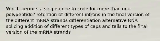 Which permits a single gene to code for <a href='https://www.questionai.com/knowledge/keWHlEPx42-more-than' class='anchor-knowledge'>more than</a> one polypeptide? retention of different introns in the final version of the different mRNA strands differentiation alternative RNA splicing addition of different types of caps and tails to the final version of the mRNA strands