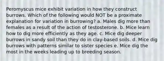 Peromyscus mice exhibit variation in how they construct burrows. Which of the following would NOT be a proximate explanation for variation in burrowing? a. Males dig more than females as a result of the action of testosterone. b. Mice learn how to dig more efficiently as they age. c. Mice dig deeper burrows in sandy soil than they do in clay-based soils. d. Mice dig burrows with patterns similar to sister species e. Mice dig the most in the weeks leading up to breeding season.