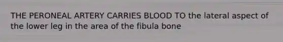 THE PERONEAL ARTERY CARRIES BLOOD TO the lateral aspect of the lower leg in the area of the fibula bone