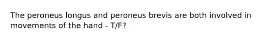 The peroneus longus and peroneus brevis are both involved in movements of the hand - T/F?