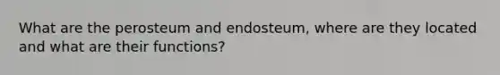 What are the perosteum and endosteum, where are they located and what are their functions?