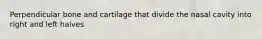 Perpendicular bone and cartilage that divide the nasal cavity into right and left halves