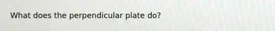 What does the perpendicular plate do?