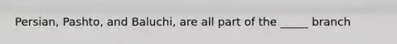 Persian, Pashto, and Baluchi, are all part of the _____ branch