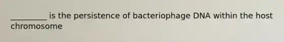 _________ is the persistence of bacteriophage DNA within the host chromosome