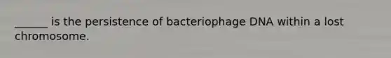 ______ is the persistence of bacteriophage DNA within a lost chromosome.