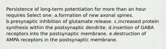 Persistence of long-term potentiation for more than an hour requires Select one: a.formation of new axonal spines. b.presynaptic inhibition of glutamate release. c.increased protein synthesis within the postsynaptic dendrite. d.insertion of GABA receptors into the postsynaptic membrane. e.destruction of AMPA receptors in the postsynaptic membrane.