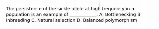 The persistence of the sickle allele at high frequency in a population is an example of ____________. A. Bottlenecking B. Inbreeding C. Natural selection D. Balanced polymorphism