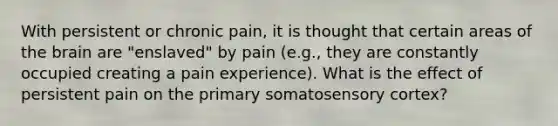 With persistent or chronic pain, it is thought that certain areas of the brain are "enslaved" by pain (e.g., they are constantly occupied creating a pain experience). What is the effect of persistent pain on the primary somatosensory cortex?