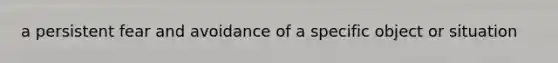 a persistent fear and avoidance of a specific object or situation