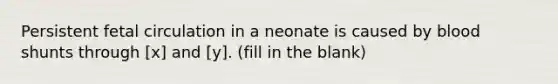 Persistent fetal circulation in a neonate is caused by blood shunts through [x] and [y]. (fill in the blank)