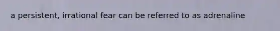 a persistent, irrational fear can be referred to as adrenaline