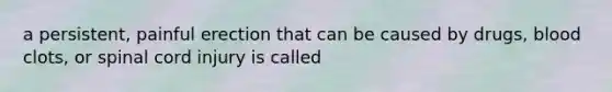 a persistent, painful erection that can be caused by drugs, blood clots, or spinal cord injury is called