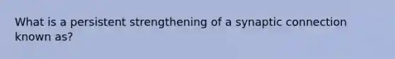 What is a persistent strengthening of a synaptic connection known as?