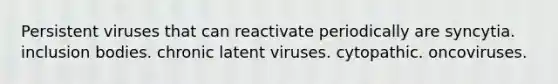 Persistent viruses that can reactivate periodically are syncytia. inclusion bodies. chronic latent viruses. cytopathic. oncoviruses.