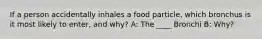 If a person accidentally inhales a food particle, which bronchus is it most likely to enter, and why? A: The ____ Bronchi B: Why?