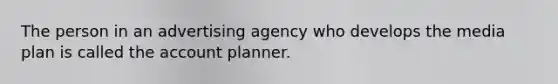 The person in an advertising agency who develops the media plan is called the account planner.