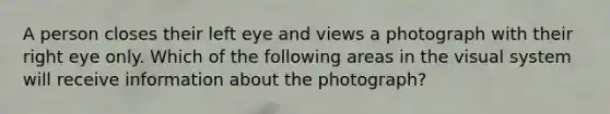 A person closes their left eye and views a photograph with their right eye only. Which of the following areas in the visual system will receive information about the photograph?