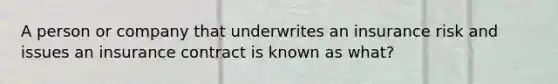 A person or company that underwrites an insurance risk and issues an insurance contract is known as what?