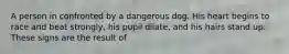 A person in confronted by a dangerous dog. His heart begins to race and beat strongly, his pupil dilate, and his hairs stand up. These signs are the result of