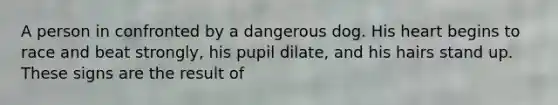 A person in confronted by a dangerous dog. His heart begins to race and beat strongly, his pupil dilate, and his hairs stand up. These signs are the result of