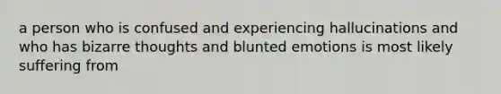 a person who is confused and experiencing hallucinations and who has bizarre thoughts and blunted emotions is most likely suffering from