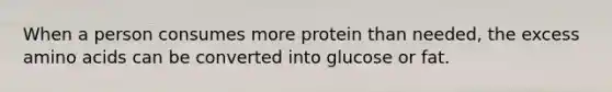 When a person consumes more protein than needed, the excess amino acids can be converted into glucose or fat.