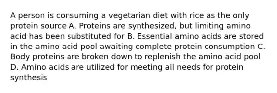 A person is consuming a vegetarian diet with rice as the only protein source A. Proteins are synthesized, but limiting amino acid has been substituted for B. Essential amino acids are stored in the amino acid pool awaiting complete protein consumption C. Body proteins are broken down to replenish the amino acid pool D. Amino acids are utilized for meeting all needs for protein synthesis