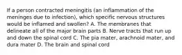 If a person contracted meningitis (an inflammation of the meninges due to infection), which specific nervous structures would be inflamed and swollen? A. The membranes that delineate all of the major brain parts B. Nerve tracts that run up and down the spinal cord C. The pia mater, arachnoid mater, and dura mater D. The brain and spinal cord