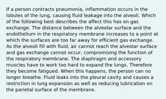 If a person contracts pneumonia, inflammation occurs in the lobules of the lung, causing fluid leakage into the alveoli. Which of the following best describes the affect this has on gas exchange. The distance between the alveolar surface and the endothelium in the respiratory membrane increases to a point at which the surfaces are too far away for efficient gas exchange. As the alveoli fill with fluid, air cannot reach the alveolar surface and gas exchange cannot occur, compromising the function of the respiratory membrane. The diaphragm and accessory muscles have to work too hard to expand the lungs. Therefore they become fatigued. When this happens, the person can no longer breathe. Fluid leaks into the pleural cavity and causes a restriction in lung expansion as well as reducing lubrication on the parietal surface of the membrane.